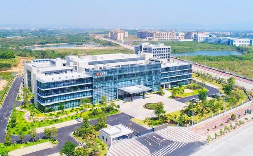 创新驱动，品质护航——普宁市高值医用敷料与一次性医疗用品领航者